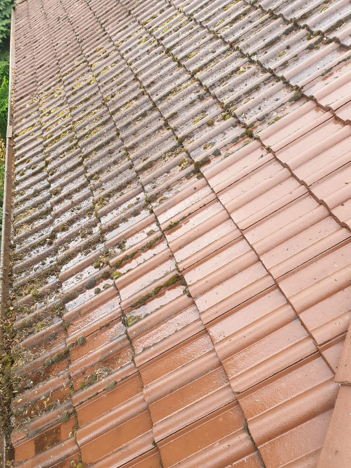 Bauabdichtungen- Bausanierungen Tiriakidis -  Komplette Renovierungsdienstleistungen – Dachziegel reinigen und neu versiegeln