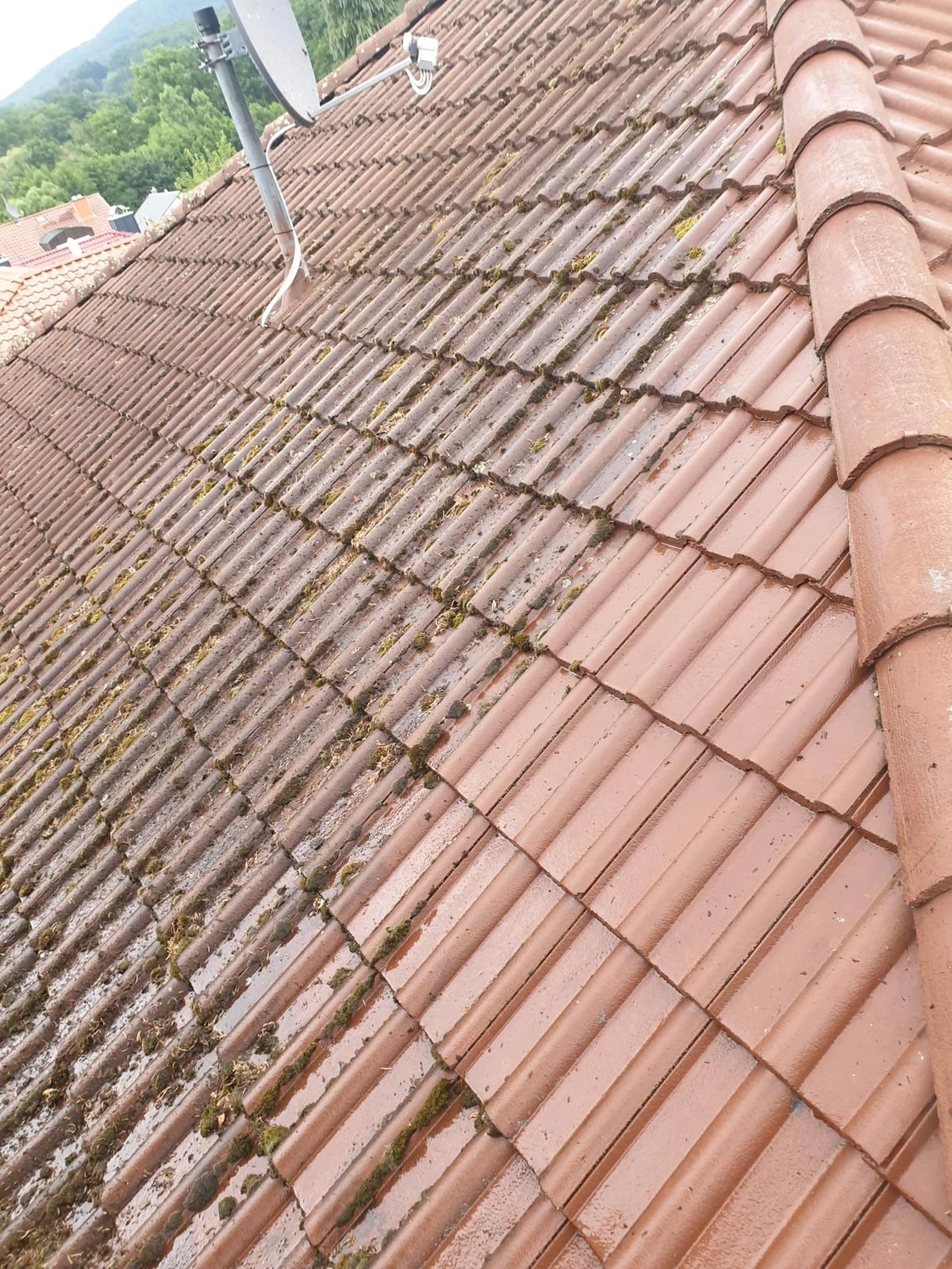 Bauabdichtungen- Bausanierungen Tiriakidis -  Komplette Renovierungsdienstleistungen – Dachziegel reinigen und neu versiegeln